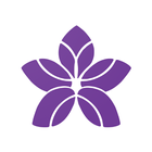 Purple Mat icône