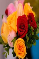 Imágenes de Rosas 截图 3