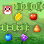 Jungle Swiper - Collect Fruits