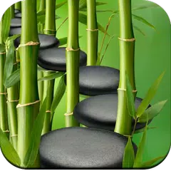 download HD Bamboo wallpaper APK