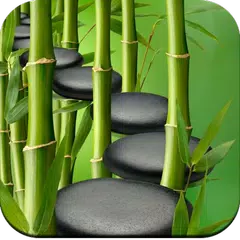 Descargar APK de HD Bamboo wallpaper