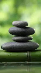 HD Bamboo wallpaper アプリダウンロード