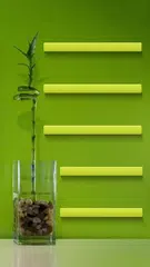 HD Bamboo wallpaper アプリダウンロード