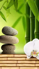 HD Bamboo wallpaper アプリダウンロード