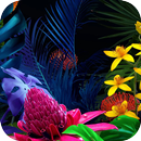 HD G8 ThinQ Wallpapers APK