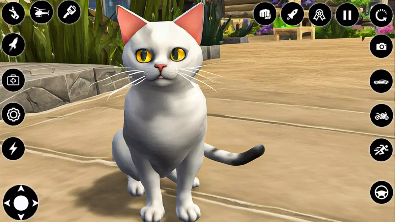 Jogos Simulador de Gato 3D versão móvel andróide iOS apk baixar