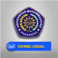 Sayang Ginjal