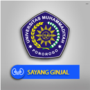 Sayang Ginjal APK