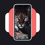 ZooWalls: HD Animal Wallpapers