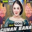 LAGU CAMPUR SARI VIRAL OFFLINE icon