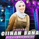 DJ CIINAN BANA VIRAL Offline APK