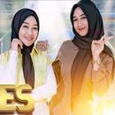 Adella Ft Duo Ageng Musik Mp3 APK