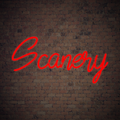 Scanery: Super lector de códigos QR y de barras