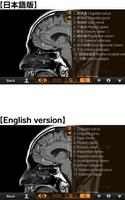 Interactive CT & MRI Anat.Lite syot layar 2