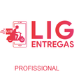 ”Lig Entregas - Profissional