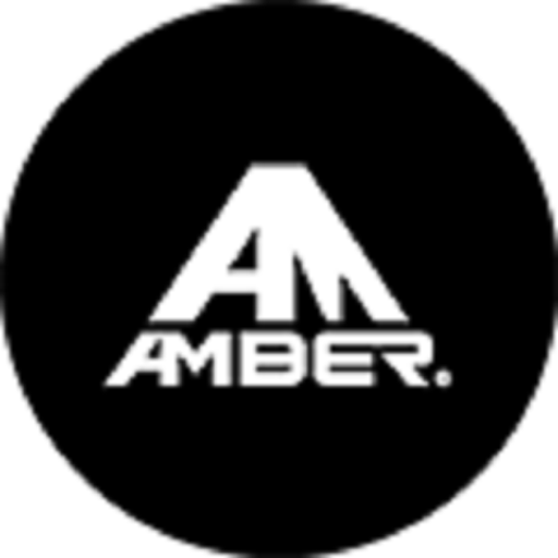 AMBER CAM