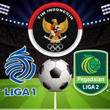 Liga Timnas Indonesia