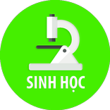 Trắc Nghiệm Sinh Học Lớp 10
