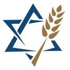 Jewish Voice 图标