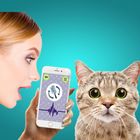 Cat Translator Simulator ícone
