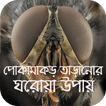 পোকামাকড় তাড়ানোর ঘরোয়া উপায়