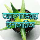 অ্যালোভেরার বিস্ময়কর উপকারিতা APK