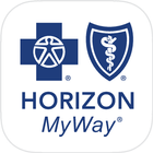 Horizon Accounts icon