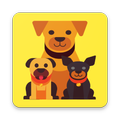 Rescue Puppies