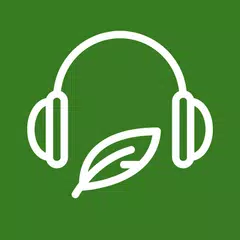 天天音乐 - 在线音乐 轻音乐 音乐播放器 歌曲搜索 XAPK Herunterladen