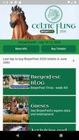 BreyerFest poster