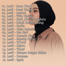 Insan Biasa - Lesti Offline APK
