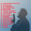 Kumpulan Lagu Pilihan Nias APK