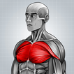 Ağırsağlam Fitness Hareketleri simgesi