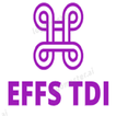 Les Examens Fin Formation TDI