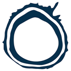 Lidaris icon