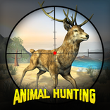 Animal Hunting