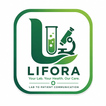 Lifora icon