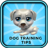 Life Hack For Dog Training Secrets
