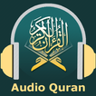 Pro Quran All Reciters