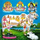 APK Gau Mata Aarti