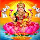 Dhanlaxmi-APK