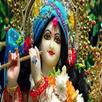 Kunj Bihari Aarti Free APK