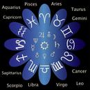 Star Zodiac Signs Matches - Fr APK