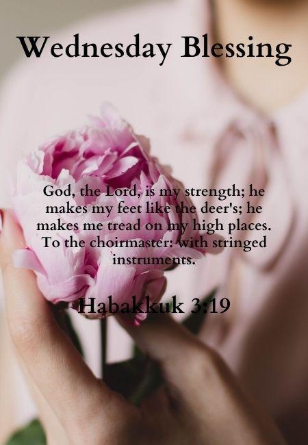Daily Blessings Scripture for Android - APK Download