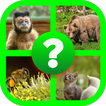 Animals quiz game ( Guess Animal game )