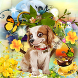 ”Buongiorno Serata e Buonanotte