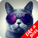 Like a boss Wallpaper APK