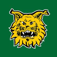 Tampereen Ilves ภาพหน้าจอ 3