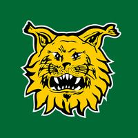 Tampereen Ilves capture d'écran 3