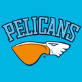 Pelicans